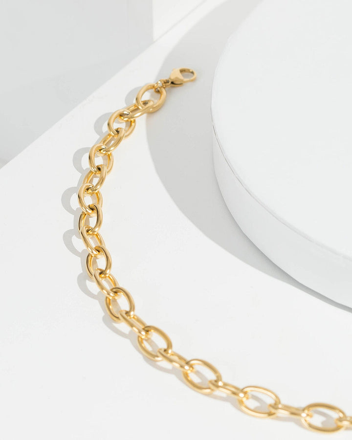 Colette by Colette Hayman 24k Gold 48cm Oval Linked Chain Necklace