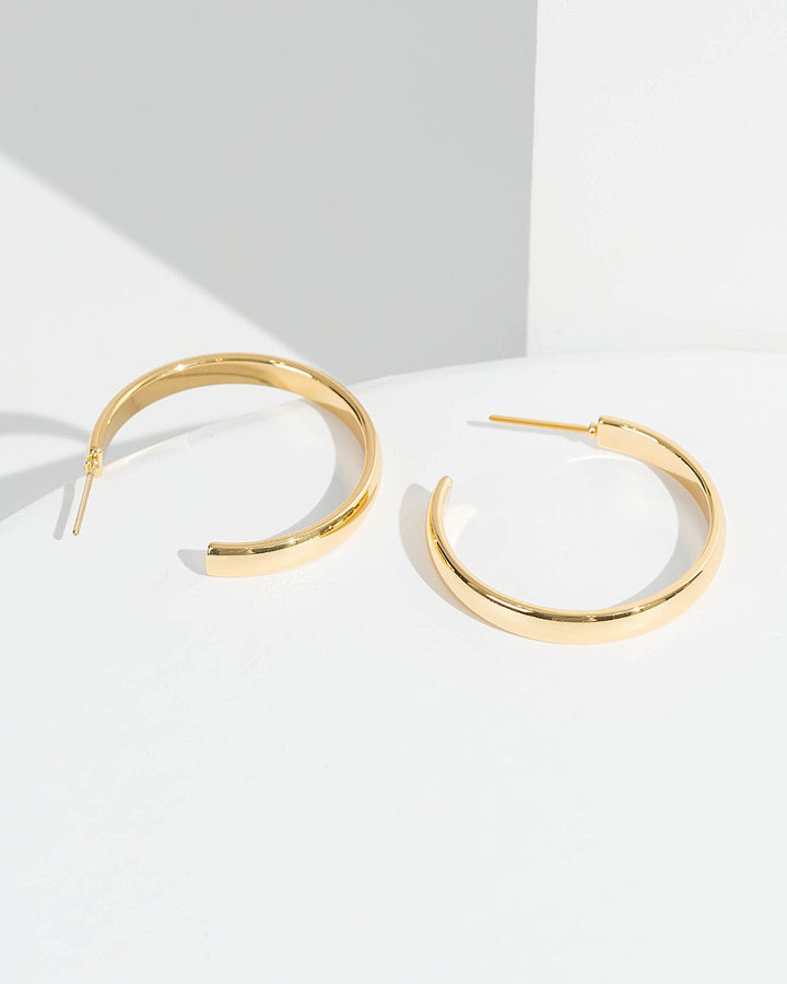 Colette by Colette Hayman 24k Gold Flat Round Hoop Earrings