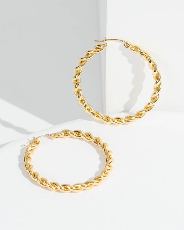 Colette by Colette Hayman 24k Gold Round Twist Hoop Earrings