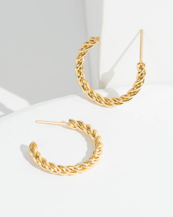 Colette by Colette Hayman 24k Gold Small Twist Hoop Earrings