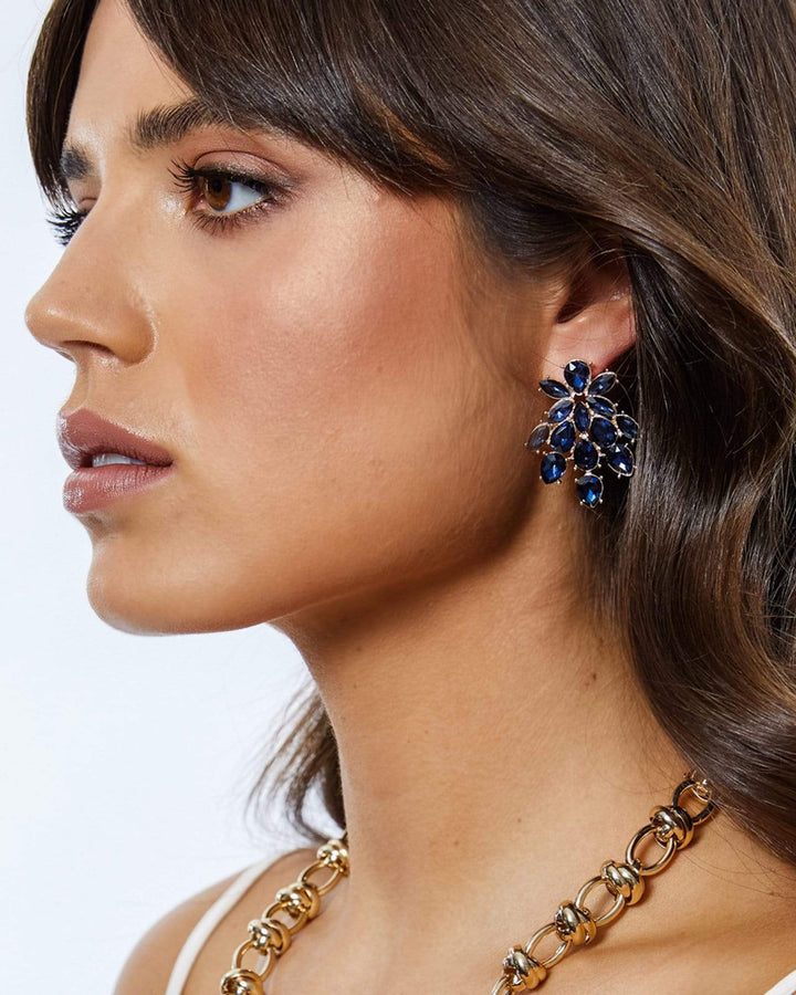 Blue Cluster Jewel Stud Earrings | Earrings