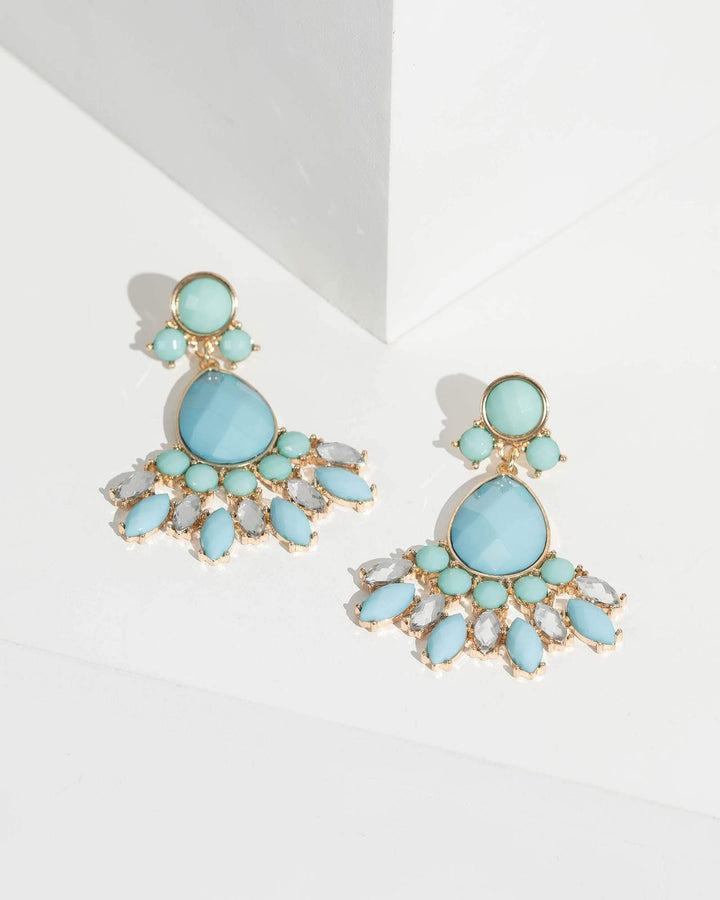 Blue Multi Resin And Crystal Cluster Drop Earrings | Earrings
