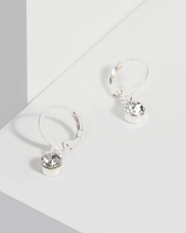 Crystal Mini Hoop Crystal Earrings | Earrings