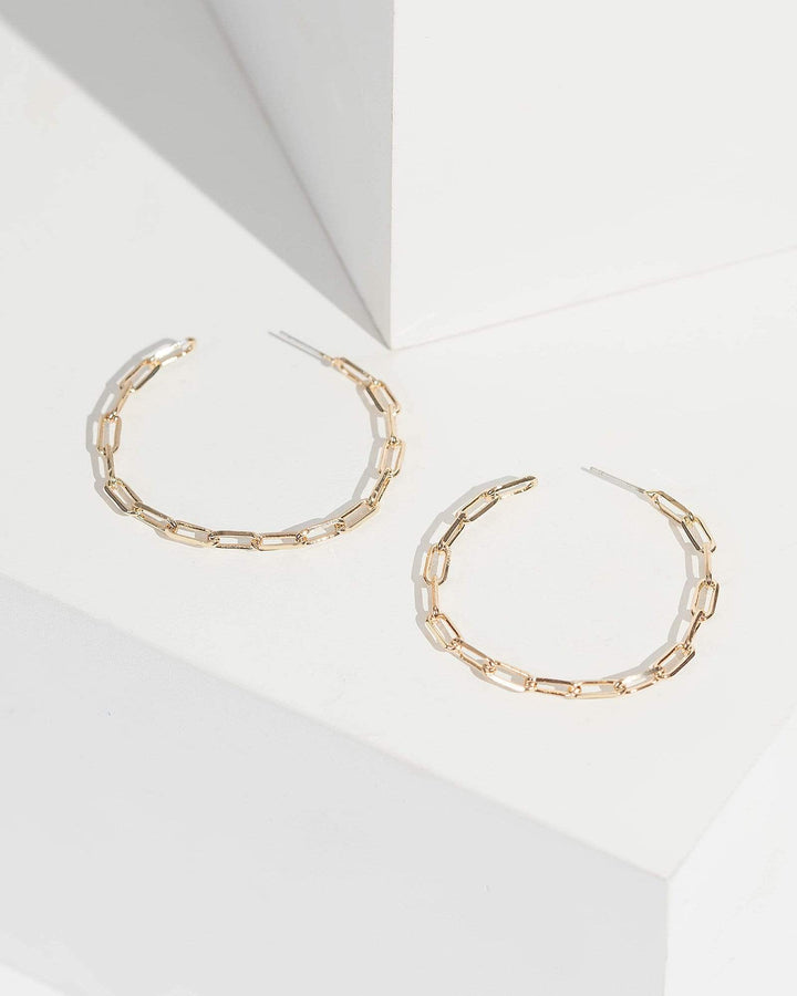 Colette by Colette Hayman Gold Fine Chain Large Hoop Earrings