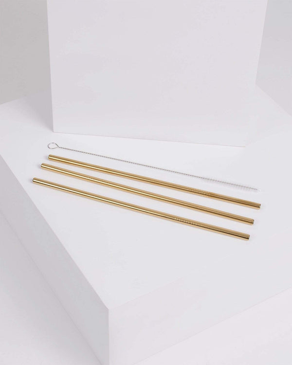 Gold Metal Straw Set | Accessories