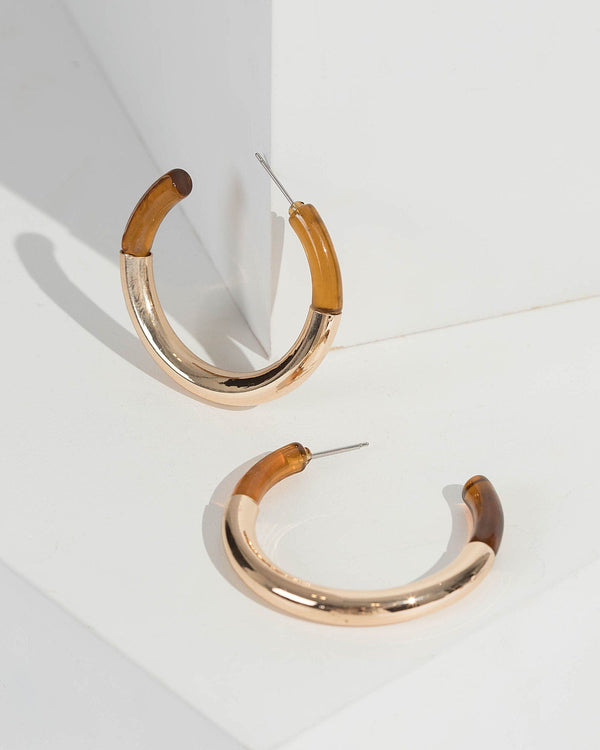 Gold Resin And Metal Hoop Earrings | Earrings