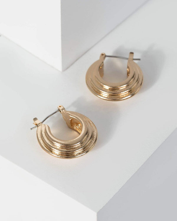 Gold Small Open Hoop Detailed Earrings | Earrings