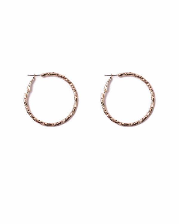 Gold Tone Detail Medium Twisted Hoop Earrings | Earrings