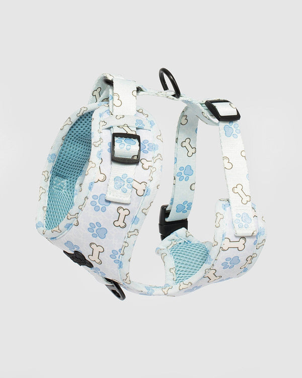 Colette by Colette Hayman Print Small Dog Harness