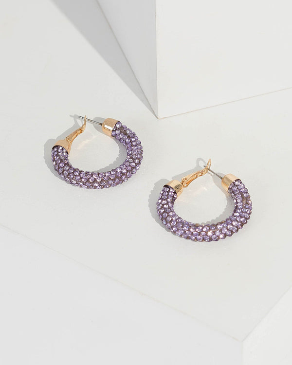 Purple Multi Crystal Hoop Earrings | Earrings