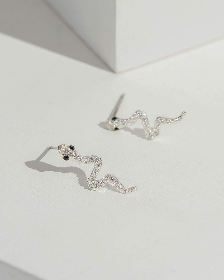 Silver Shiny Snake Earrings | Earrings